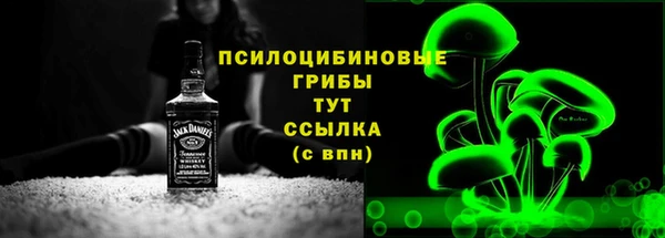 хмурый Абаза