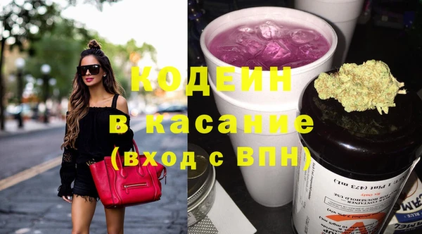 хмурый Абаза