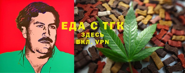хмурый Абаза
